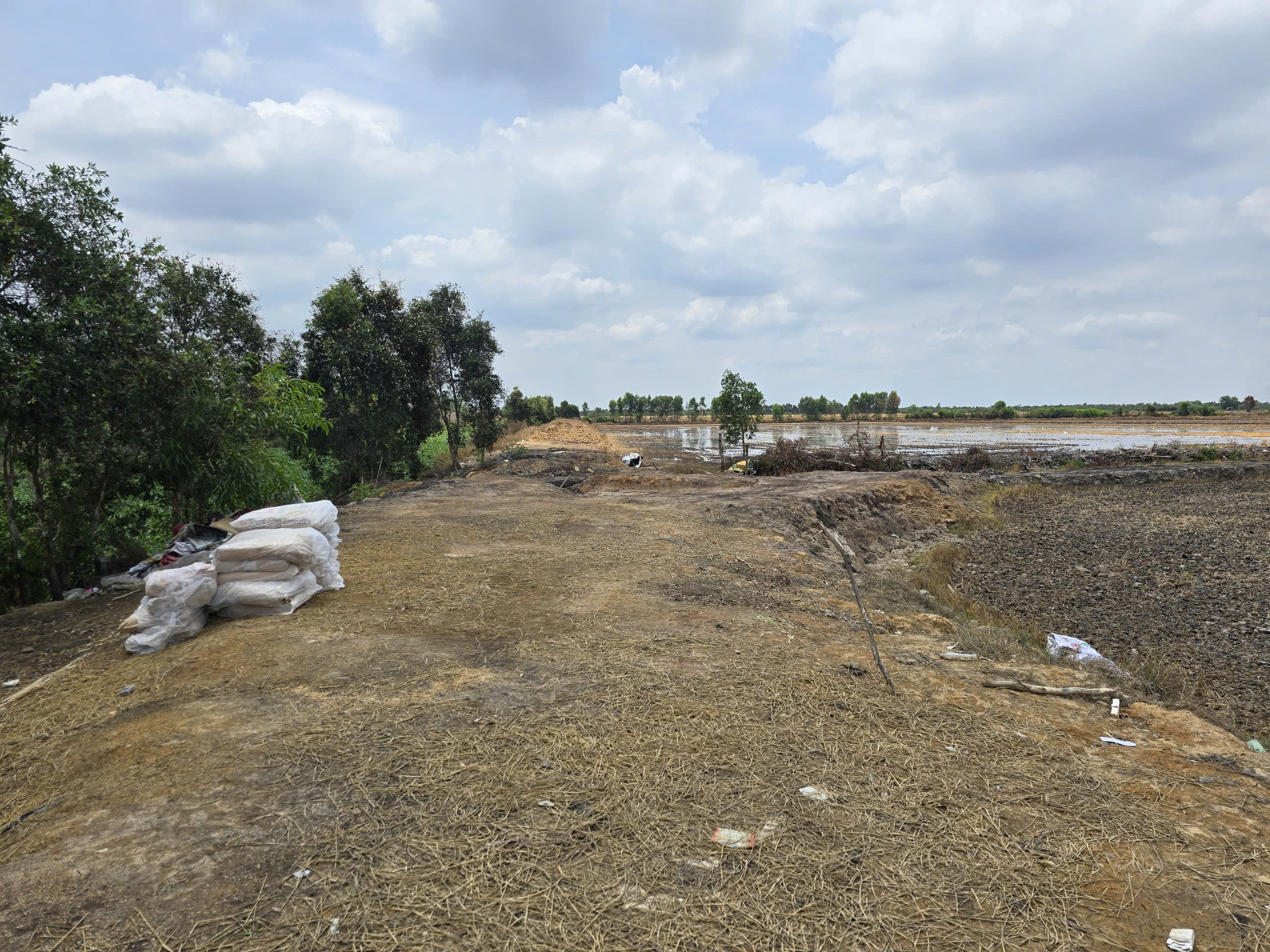  BÁN ĐẤT NÔNG NGHIỆP QUY MÔ LỚN – 13HA ĐỨC HUỆ, LONG AN 