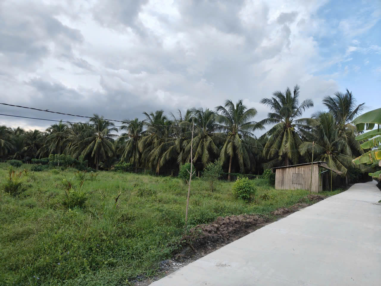  ĐẤT PHÂN LÔ ĐẦU TƯ – DIỆN TÍCH LỚN – GIÁ TỐT TẠI CHỢ GẠO, TIỀN GIANG 