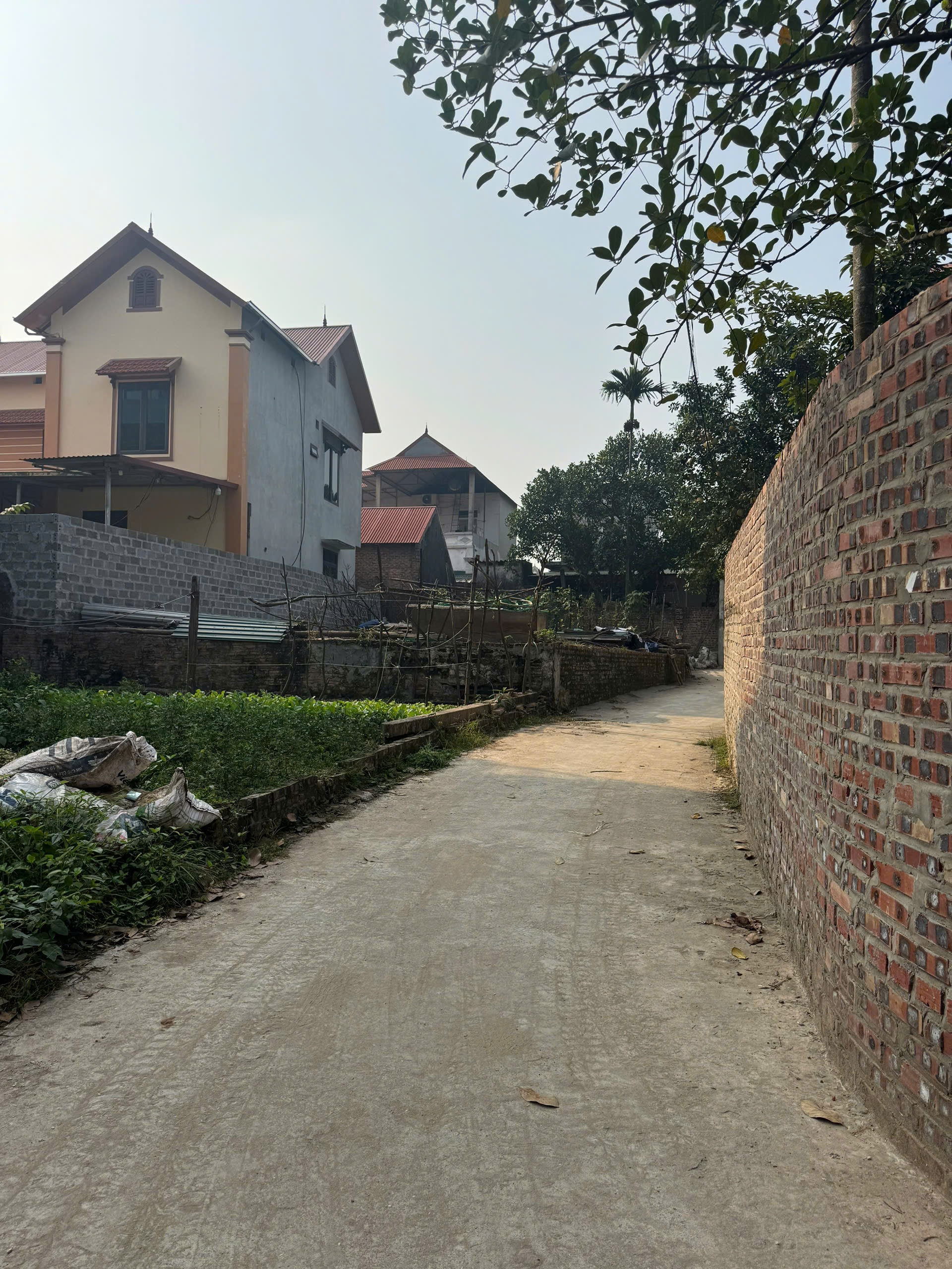  43m² Thọ Lộc – Phúc Thọ - Vị trí đẹp, tiềm năng cao. 