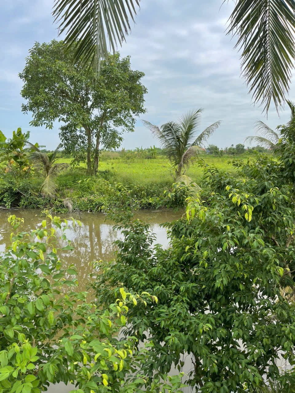  Chỉ còn 1 lô F0 Quyết Tiến – Giá hiếm 13,x tr/m² – Quỹ đất ven Đồ Sơn ngày càng ít  ZALO 0567 222 555 