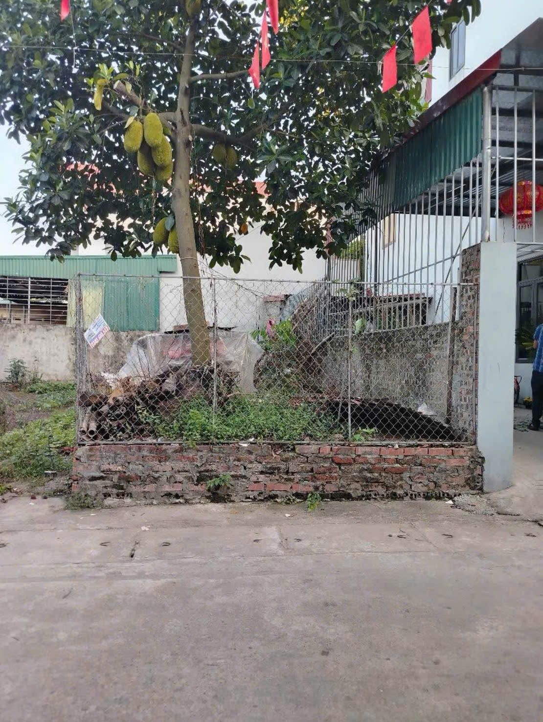  50M ĐẤT ĐỒNG THÁP – ĐAN PHƯỢNG  ĐƯỜNG 2 Ô TÔ TRÁNH NHAU 