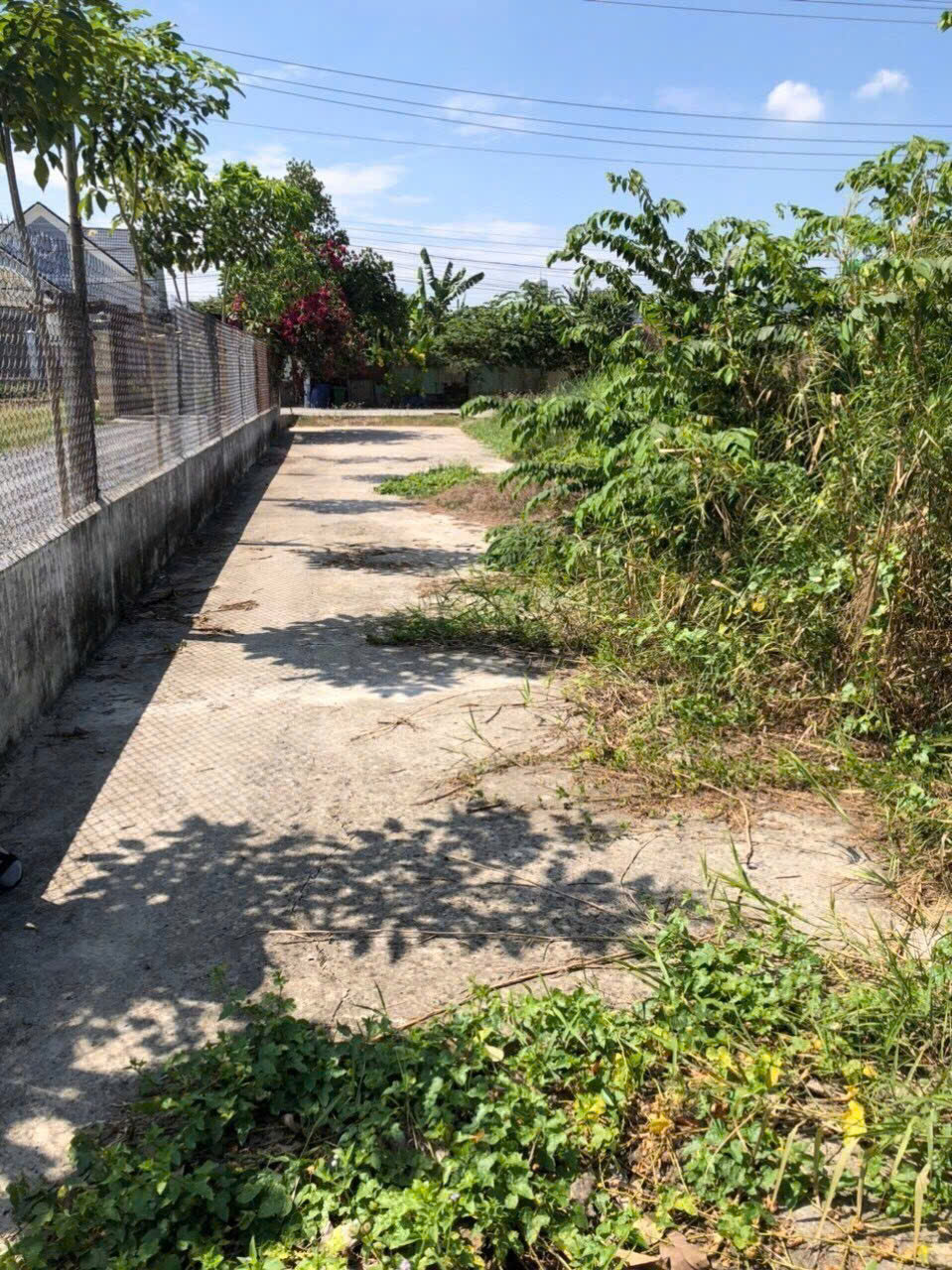  BÁN ĐẤT THỔ CƯ VỊ TRÍ ĐẸP TẠI TRUNG TÂM THỊ TRẤN ĐỨC HÒA - LONG AN 