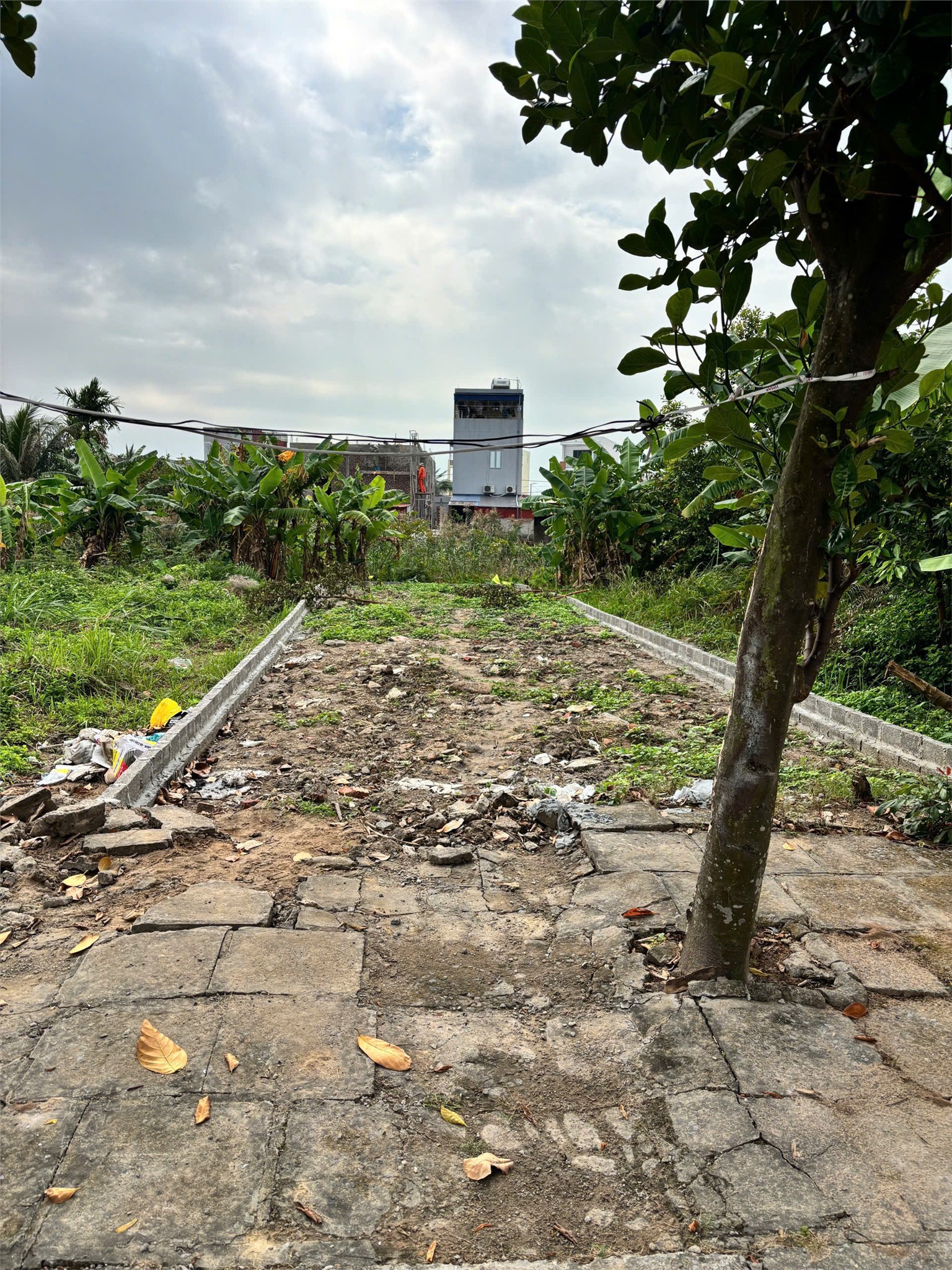  100m² tái định cư Hoà Nghĩa – Ngang 5m – Giá 2x tr/m²  Quỹ đất hiếm khu dân cư  ZALO 0567 222 555 