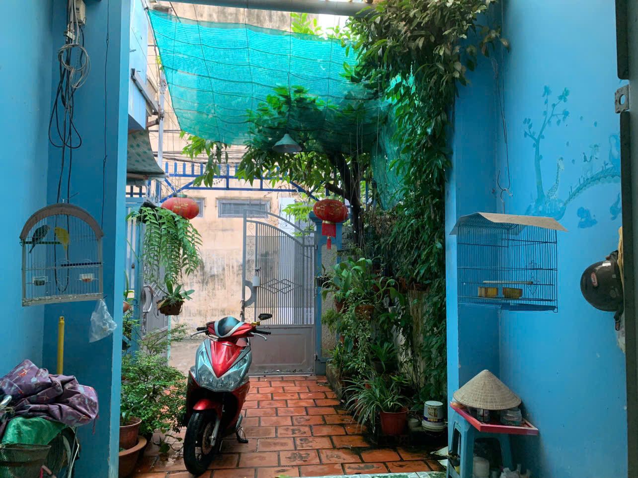  CHÍNH CHỦ BÁN NHÀ CẤP 4 – PHƯỜNG 7, TP. VŨNG TÀU 