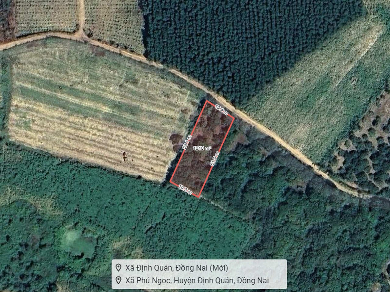  K1922 ✨ đất Phú Ngọc Đồng Nai, SHR, Vuông, HXH, 19.5x53m, 0.8 tỷ 