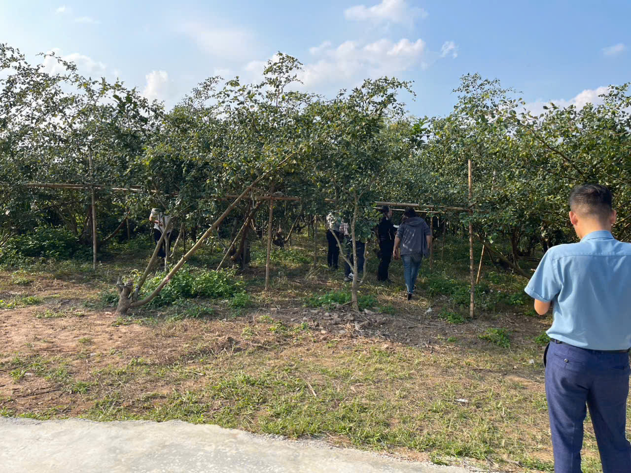  ĐẤT NỀN CHŨ BẮC NINH GIÁ 480 TRIỆU  400M2  GẦN KHU DÂN CƯ  Nguyễn Hùng BĐS - 0989333012 