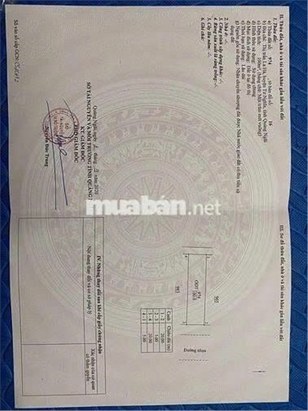  ĐẤT ĐẸP - GIÁ TỐT -  Bán Đất Mặt Tiền Thị Trấn La Hà, Huyện Tư Nghĩa, Quảng Ngãi 