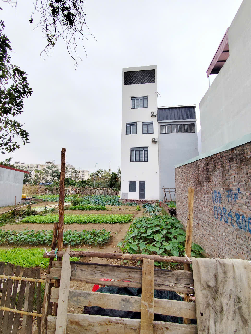  Bán đất Tái định cư Trại Lẻ - 78m - MT 4.8m - Giá 3.5 tỉ - rẻ vô địch 