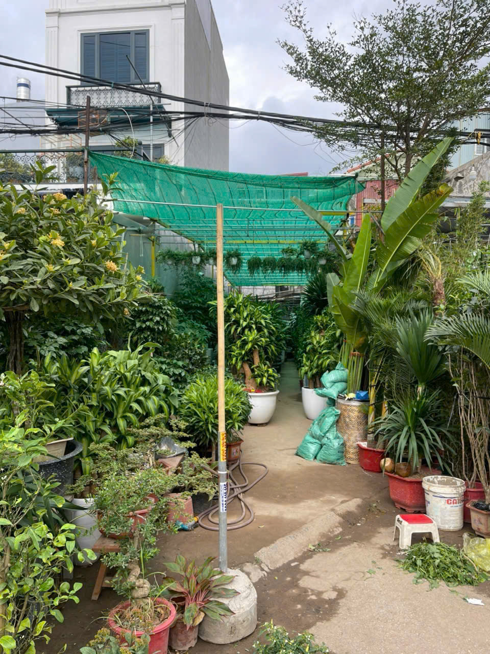  Bán đất Mặt đường Hoàng Minh Thảo - 57m - đang cho thuê - vị trí VIP 