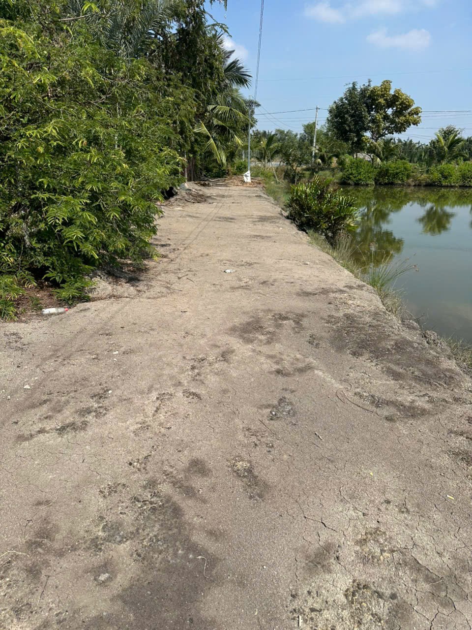  ĐẤT  ĐẸP- GIÁ TỐT- CẦN BÁN NHANH LÔ ĐẤT tại Xã Phước Lại-Cần giuộc – Long An 