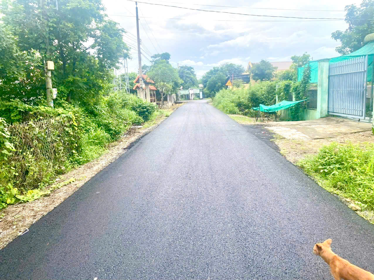  Mặt tiền Đường Nhựa 6m xe hơi ???? khu bàn cơ thông tứ phía
♦️ DT : 1.373 m2 - ngang 20.2 x dài 68 ( Phân lô kinh doanh được 4 lô đất : 5x68‎ = 340m2 ) 