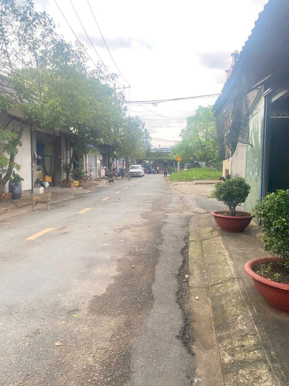  VIP – KHO XƯỞNG 552M² XUÂN THỚI ĐÔNG - GIẢM SÂU 2T HIẾM CÓ 