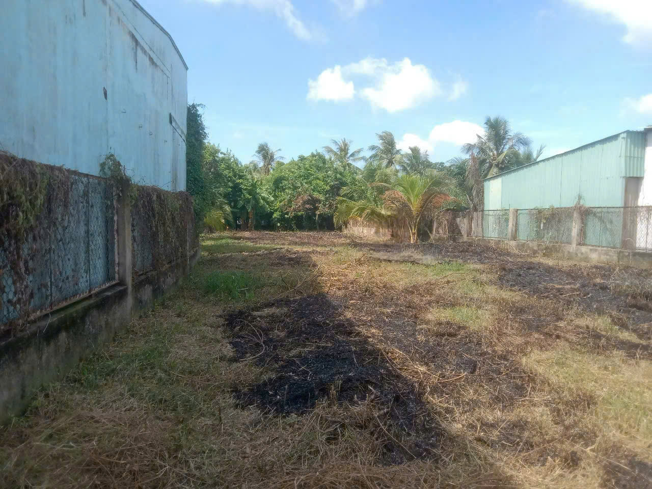  CẦN BÁN 1056M2 THỔ CƯ MT ĐƯỜNG TÂN LONG TÂN NHỰT 