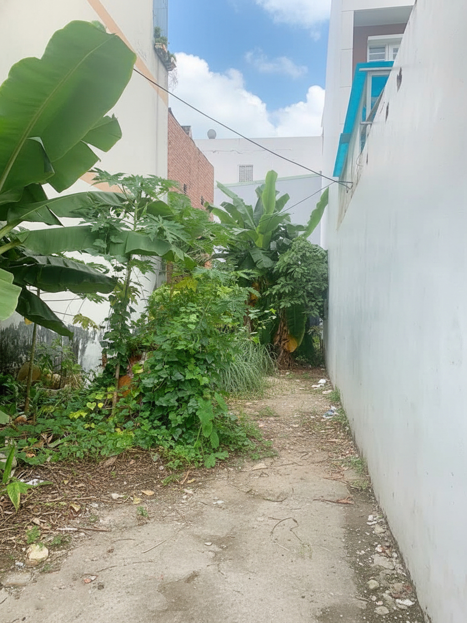  H2004 ???????? Rẻ hơn Shopee! đất Mặt tiền Tân Chánh Hiệp 17 Q12, SHR, Vuông, 5x30m, 8.x tỷ 