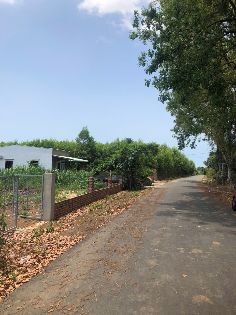  Cần bán đất Long Phước 

????diện tích 1383m2 
????có thổ cư 120m2 
????đường nhựa lớn 
????thích hợp xây nhà vườn 