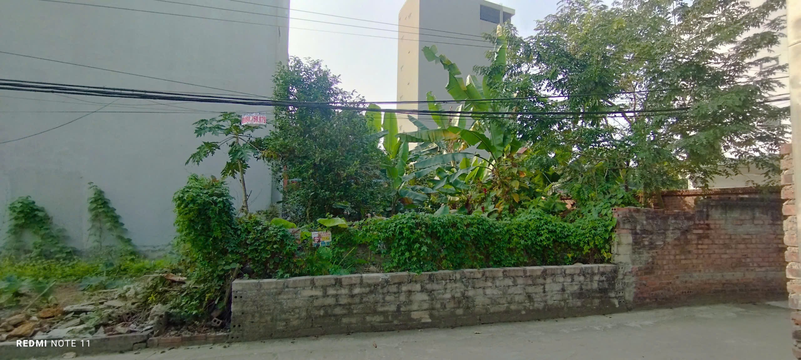  CHỈ 3 TỶ NHỈNH CÓ NGAY ĐẤT THỔ CƯ PHÚ CÁT CẠNH GA METRO CỔNG ĐHQG, GIÁP LEGACY PHÚ CÁT HÒA LẠC. 