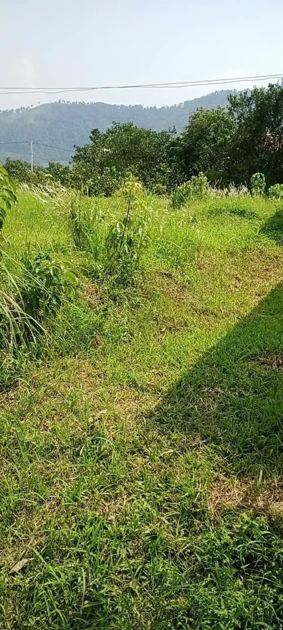  SỞ HỮU NGAY LÔ ĐẤT ĐẸP - GIÁ TỐT - Vị Trí Đắc Địa Tại Thôn Lâm Trường, Xã Minh Phú, Huyện Sóc Sơn Cũ 