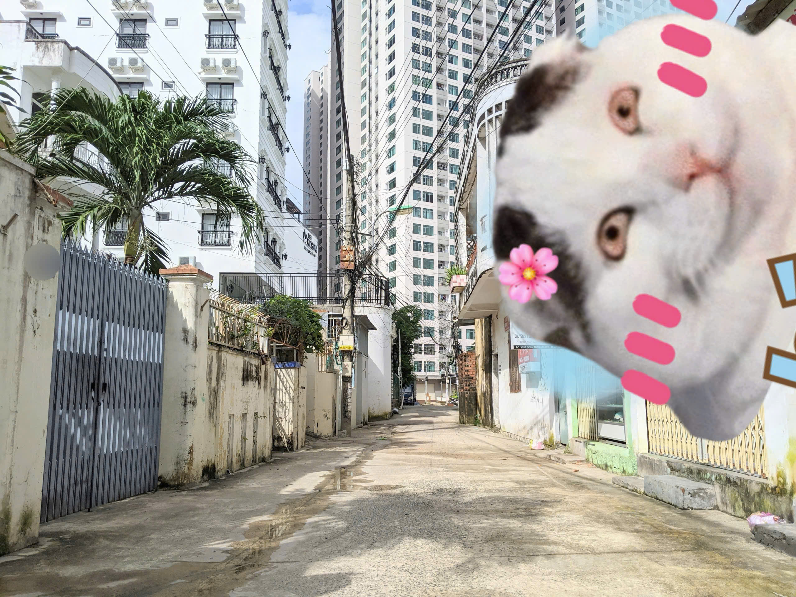  Cần Bán Nhà Mặt Tiền Tôn Thất Tùng -Bắc Nha Trang DT: 162m2 Giá bán: 24Tỷ 