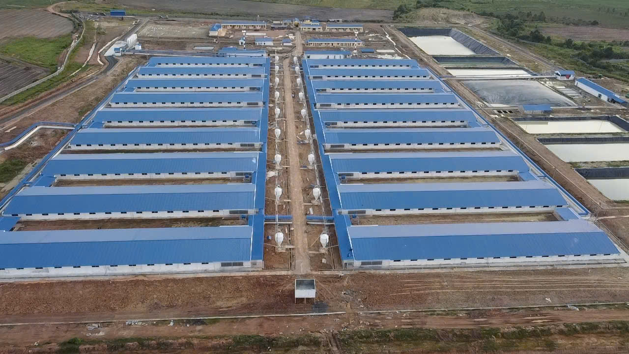  Bán Trang trại heo 26 Ha -Chư Prông, Gia Lai. Quy mô 18.000 heo thịt, Đang cho thuê 1.1 tỷ/tháng 