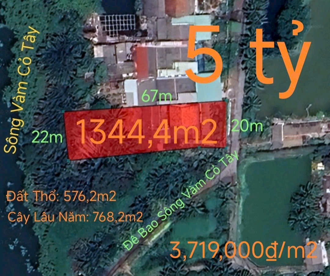  Bán lô đất thổ vườn mặt tiền đê bao hạ giá 5 tỷ 