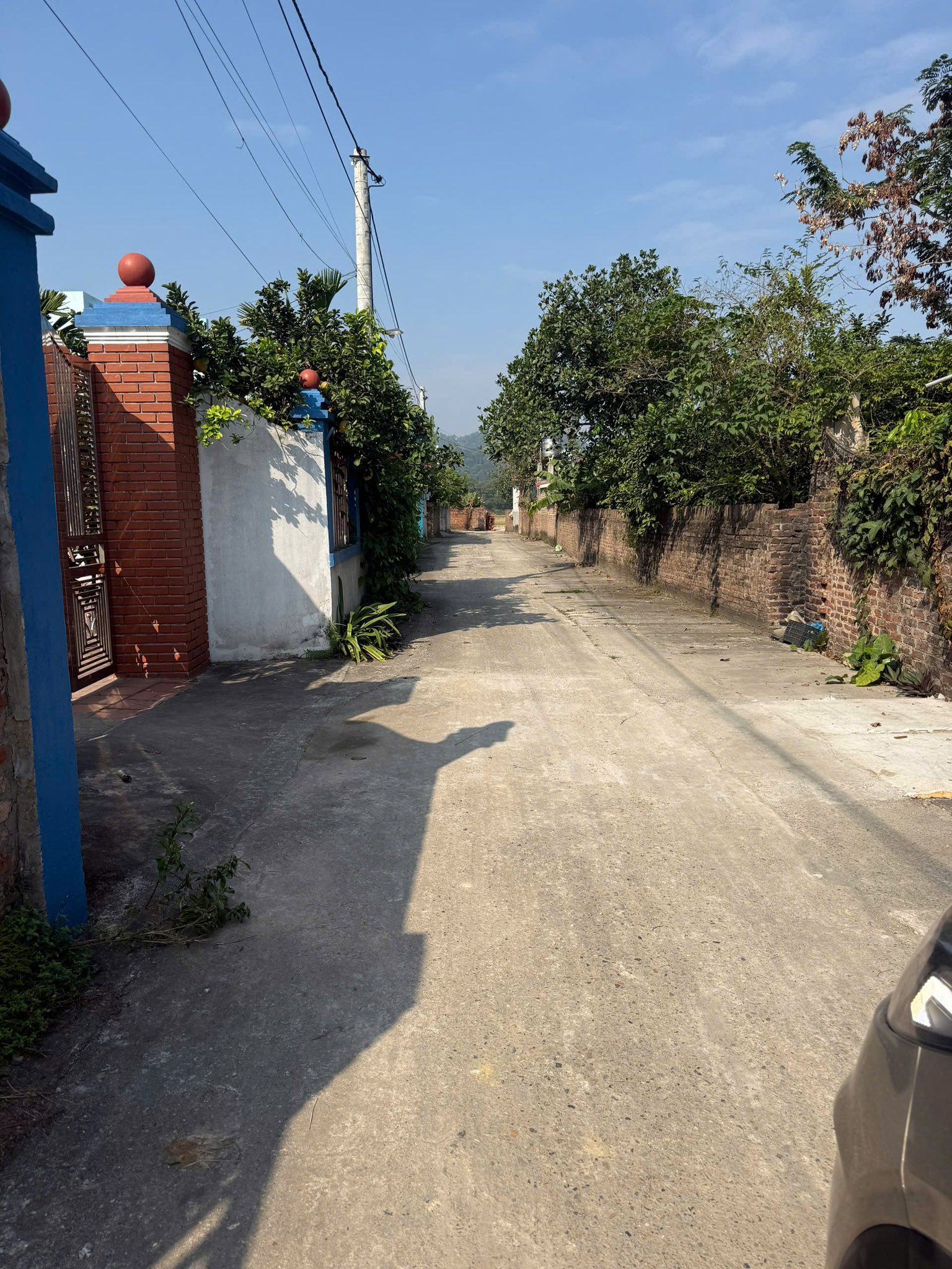  GIAO BÁN ĐẤT THỔ CƯ 118m² – MẶT TIỀN 6M – HƯỚNG ĐÔNG BẮC – Ô TÔ VÀO TẬN ĐẤT 