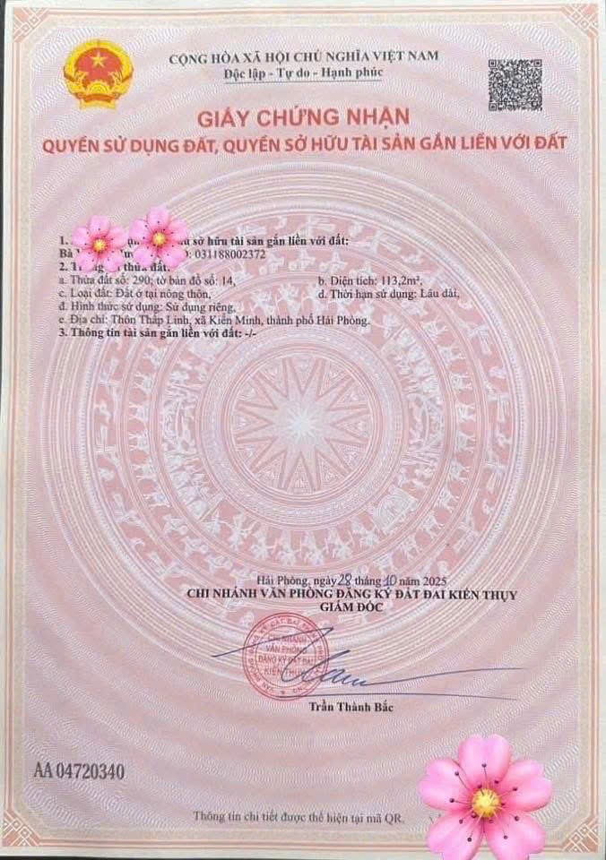  Mặt đường 362 Minh Tân  113,2m² trục lớn 30m – hàng hiếm kinh doanh  ZALO 0567 222 555 