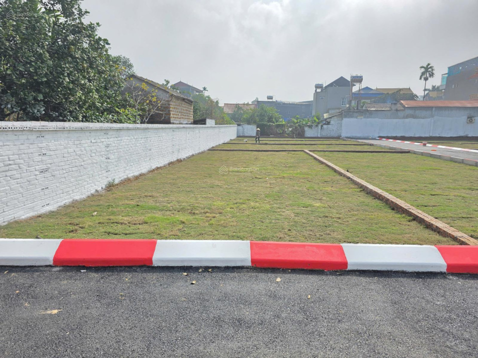  Đất Cổ Đông, Sơn Tây, Hà Nội giá chỉ cần 2,5 tỷ, DT: 100m2 full thổ 