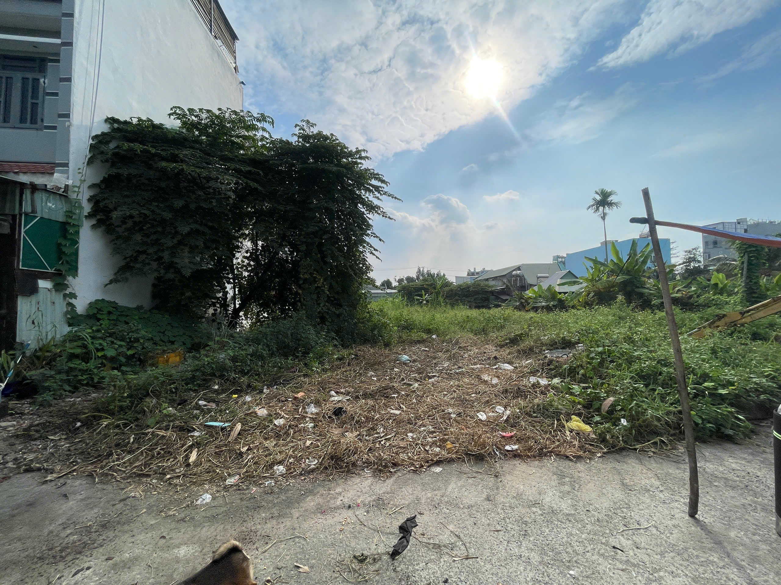  Đất thổ cư tại Thạnh Lộc 47 ( TL47), Quận 12, Hồ Chí Minh, diện tích 498.1 m² gần 500m², giá 36 tỷ 