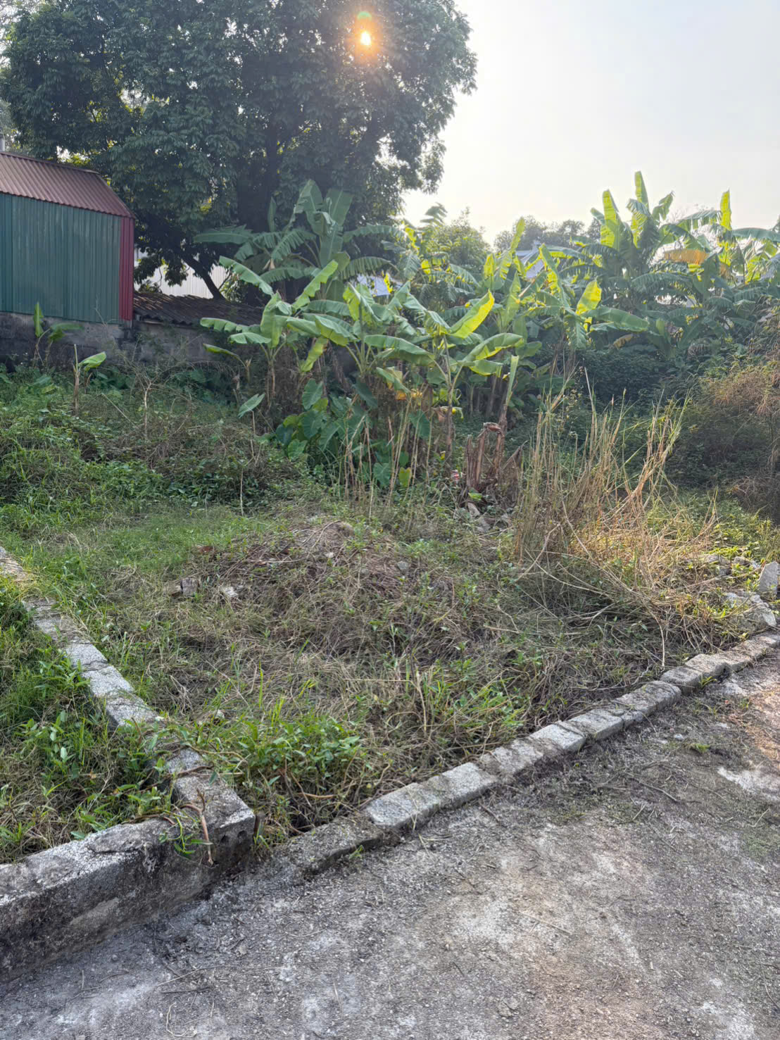  CHÍNH CHỦ bán đất Tân Ước, Dân Hoà, Thanh Oai - Sát ngay Vinhomes Olympic - Tiềm năng tăng giá cao 