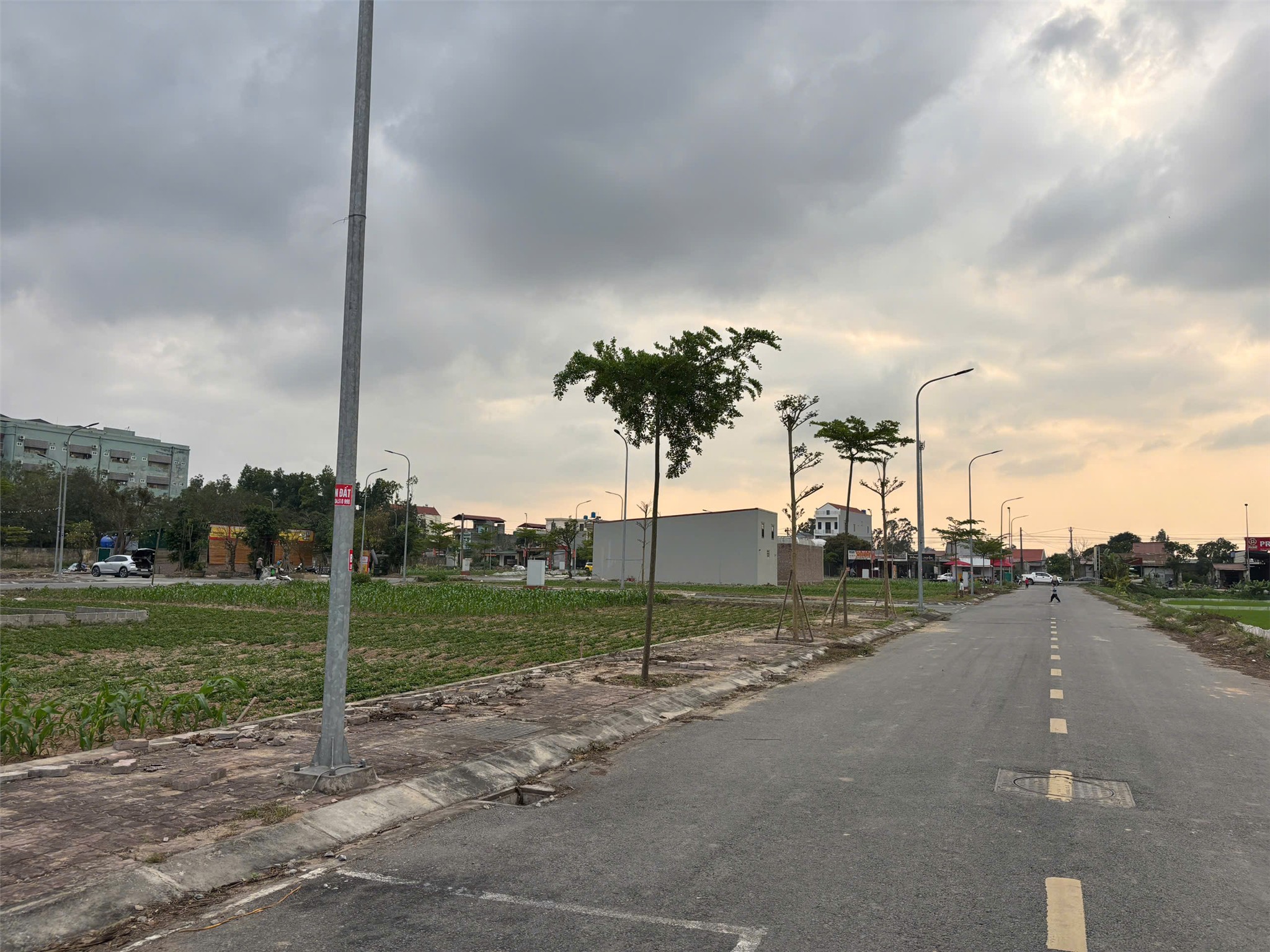  ĐẤT CHÍNH CHỦ - MẶT TIỀN Đường Khu Vực Thôn Tiên Cầu, Xã Hiệp Cường, Tỉnh Hưng Yên 