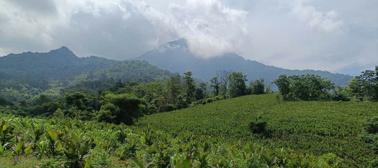  HOT !!! SỞ HỮU NGAY LÔ ĐẤT ĐẸP - GIÁ TỐT - Vị Trí Đắc Địa Tại Thôn Hợp Sơn, Ba Vì, TPHN 