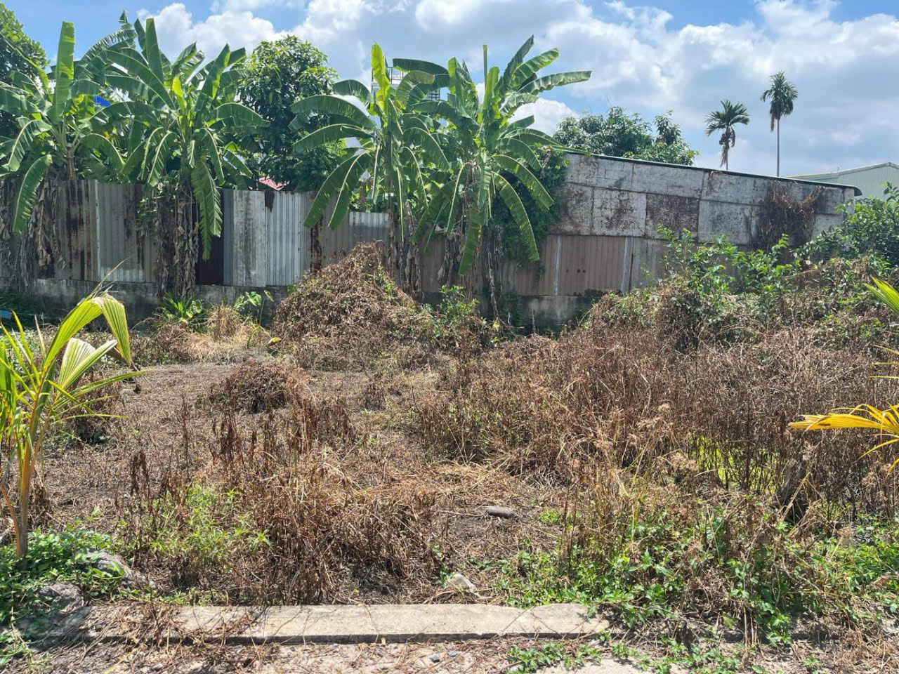  T2065 ???? đất Thạnh Lộc 41 Q12, SHR, Vuông, 3.6x12.5m, 1.x tỷ 