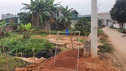  CẦN THANH KHOẢN NHANH – ĐẤT BĂNG 2 QL2C Vị trí: Băng 2 Quốc lộ 2C, khu Đạo Tú – nay thuộc Khu 1, xã Tam Dương, tỉnh Phú Thọ 