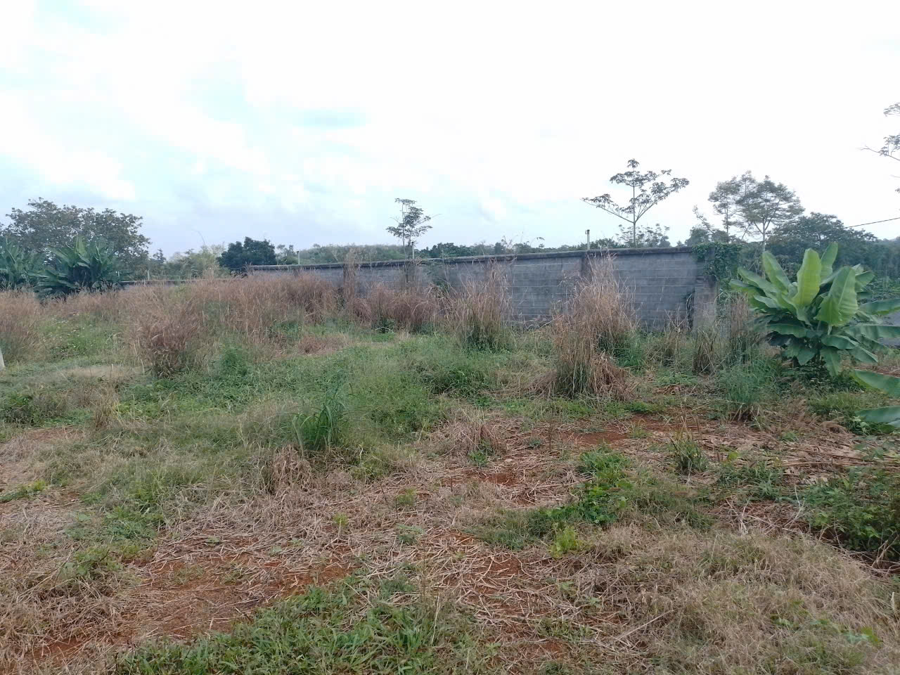  CẦN BÁN ĐẤT 3.000 M² – ĐƯỜNG KIM LONG – LÁNG LỚN, XÃ KIM LONG, HUYỆN CHÂU ĐỨC, BR-VT 