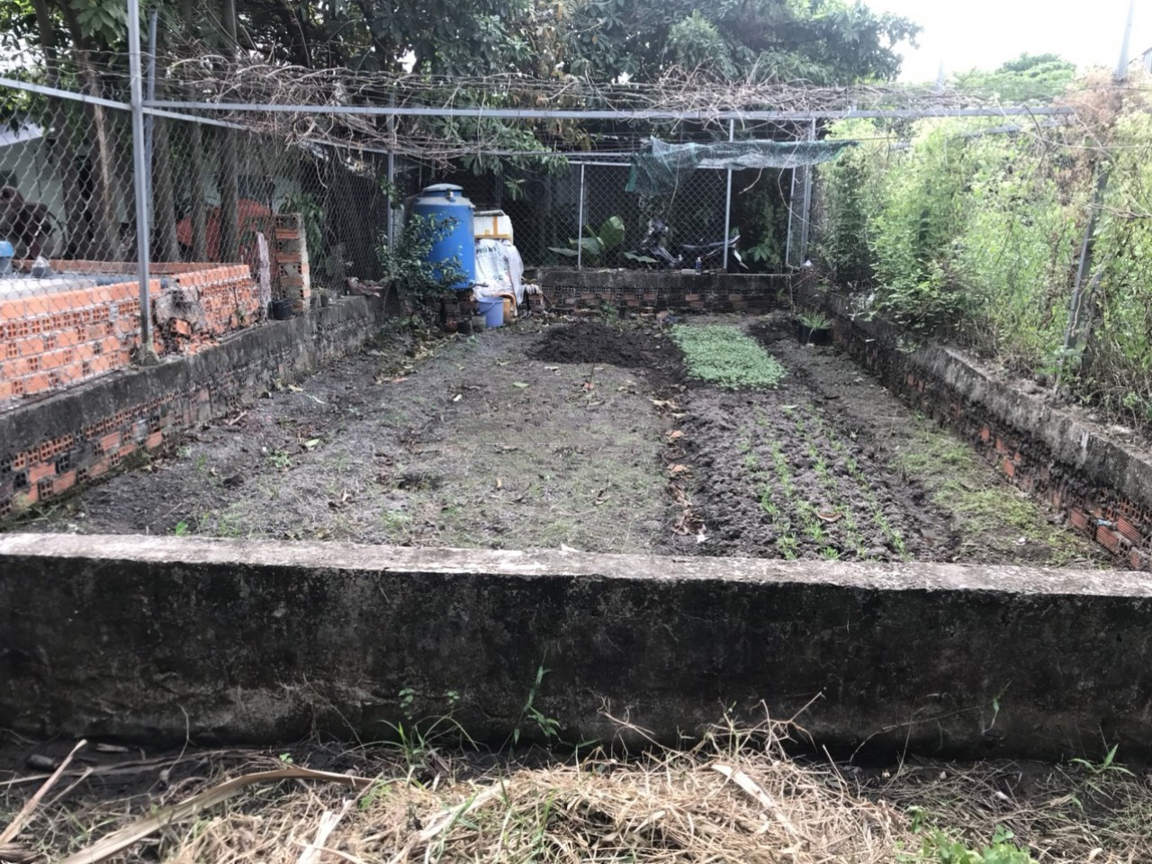  L2067 ⭐️ đất Thạnh Xuân 25 Q12, SHR, Vuông, 5x13.4m, 1.x tỷ 