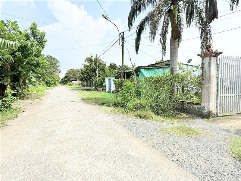  Bán nhà tặng vườn mặt tiền đường sát Tỉnh Lộ 15 đường xe container hơn 1278m2 nhỉnh 6 tỷ 