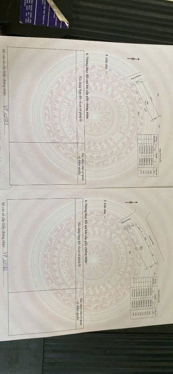  CHÍNH CHỦ CẦN BÁN LÔ ĐẤT ĐẸP TẠI PHƯỚC HƯNG NAM, HÒA NHƠN, HÒA VANG, ĐÀ NẴNG 