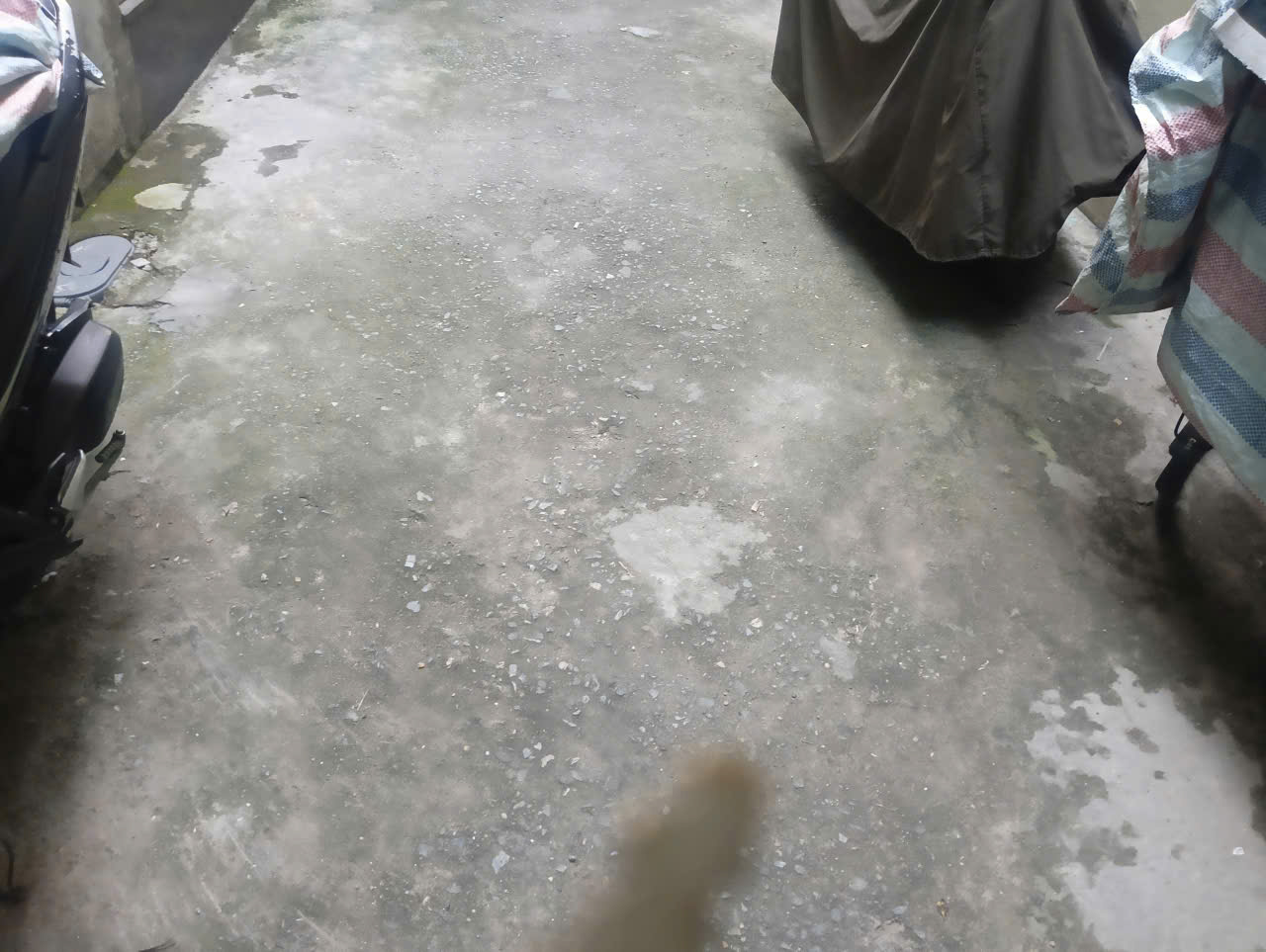  BÁN ĐẤT TẶNG NHÀ – VÕNG THỊ, TÂY HỒ – GIÁ TỐT -  Ngõ 8 Võng Thị – Tây Hồ – Hà Nội 