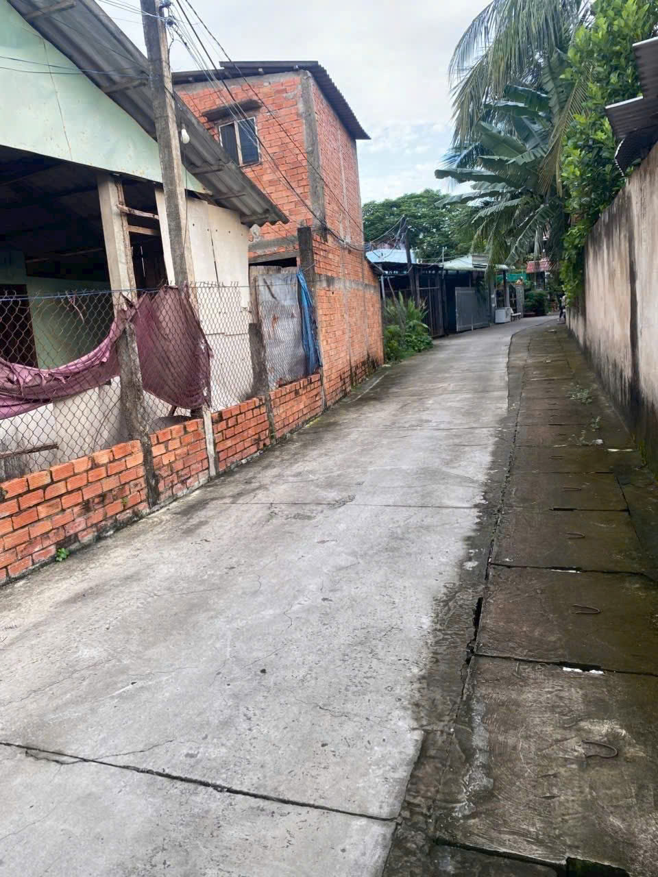  Em cần ra đi miếng đất tại xã Long Bình Điền ,Tiền Giang cũ , nay là Xã Chợ Gạo , Tỉnh Đồng Tháp mới 