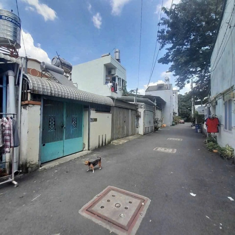  Bán nhà trong ngõ đường số 11, Trường Thọ, Thủ Đức, TP HCM - Dt 102m2, cấp 4. Giá 7,15 tỷ - Sổ Hồng đầy đủ! 