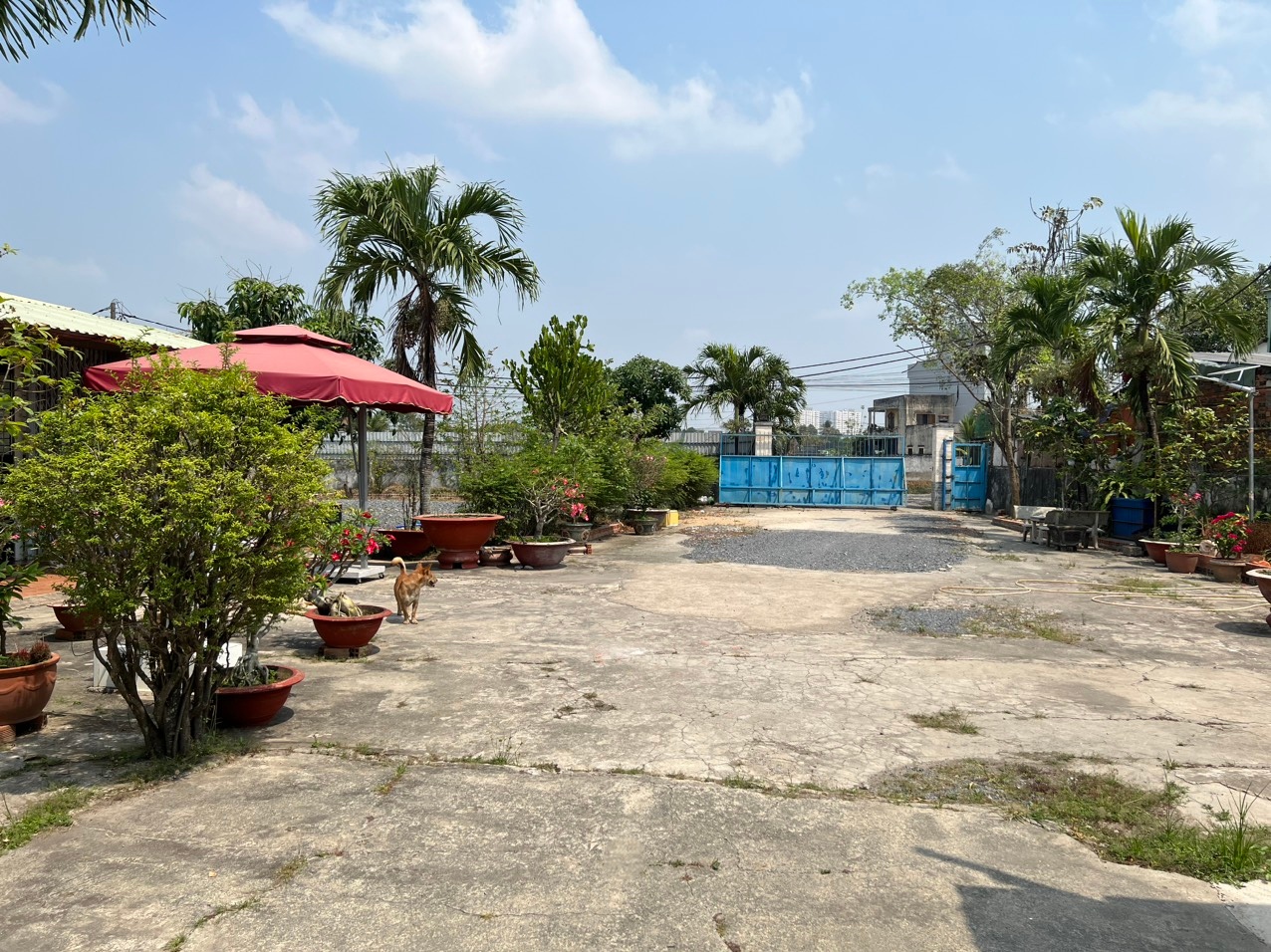  CẦN BÁN 1879M2 KHO VÀ 3 NHÀ CẤP 4 ĐƯỜNG VÀO XE TẢI 