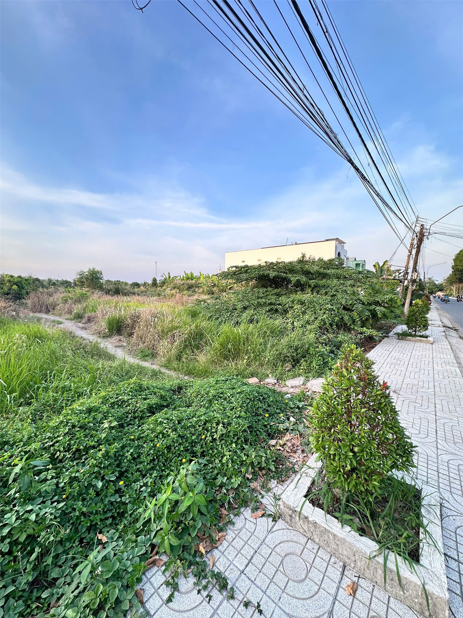  ĐẤT  ĐẸP- GIÁ TỐT- CẦN BÁN NHANH ĐẤT tại Thị trấn Trà Ôn, Vĩnh Long 