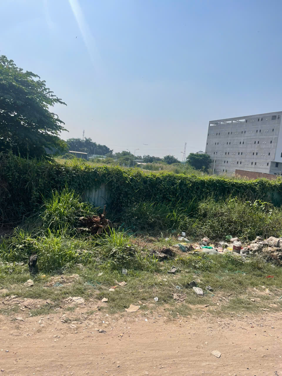  Cần bán lô đất MT Rạch Vườn Lài, vị trí đẹp, cách Vườn Lài nối dài chỉ 200m, cách QL1A 800m 