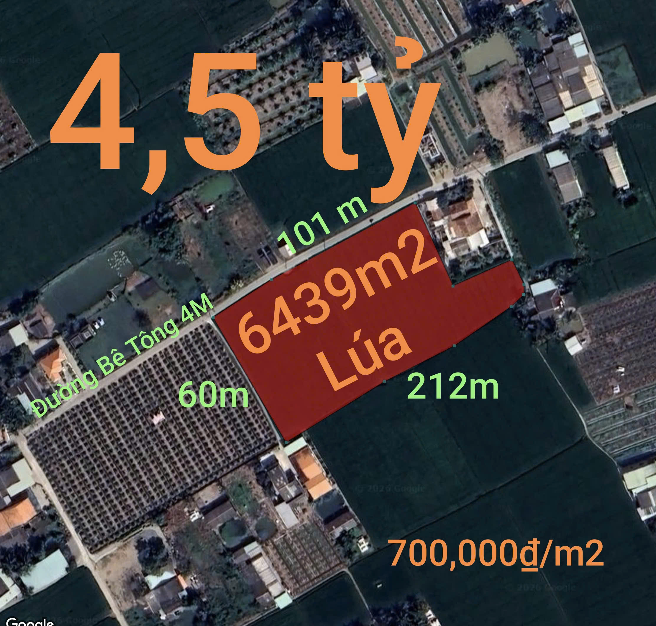  Bán lô đất lúa chuyện thổ phân lô gần Quốc Lộ 50B giá 4,5 tỷ 