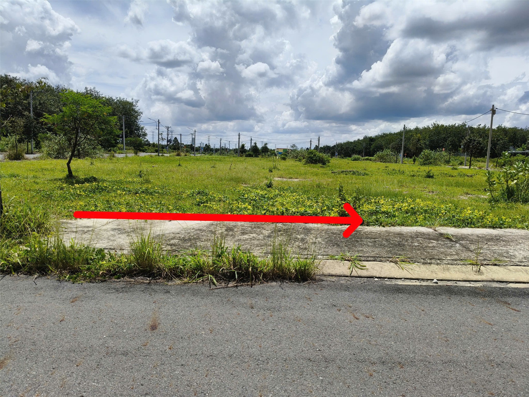  ĐẤT ĐẸP - GIÁ TỐT - Cần Bán Nhanh Lô Đất Vị Trí Đắc Địa Tại Thị Trấn Lai Uyên, Bàu Bàng, Bình Dương 