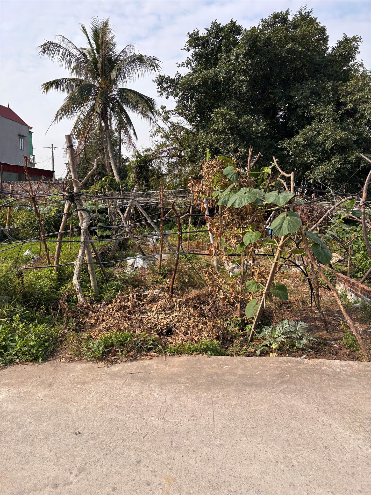  BÁN ĐẤT TÂN THÀNH DƯƠNG KINH 98M2 – NGÕ BÊ TÔNG RỘNG – GIÁ ĐẦU TƯ HIẾM  ZALO 0567 222 555 