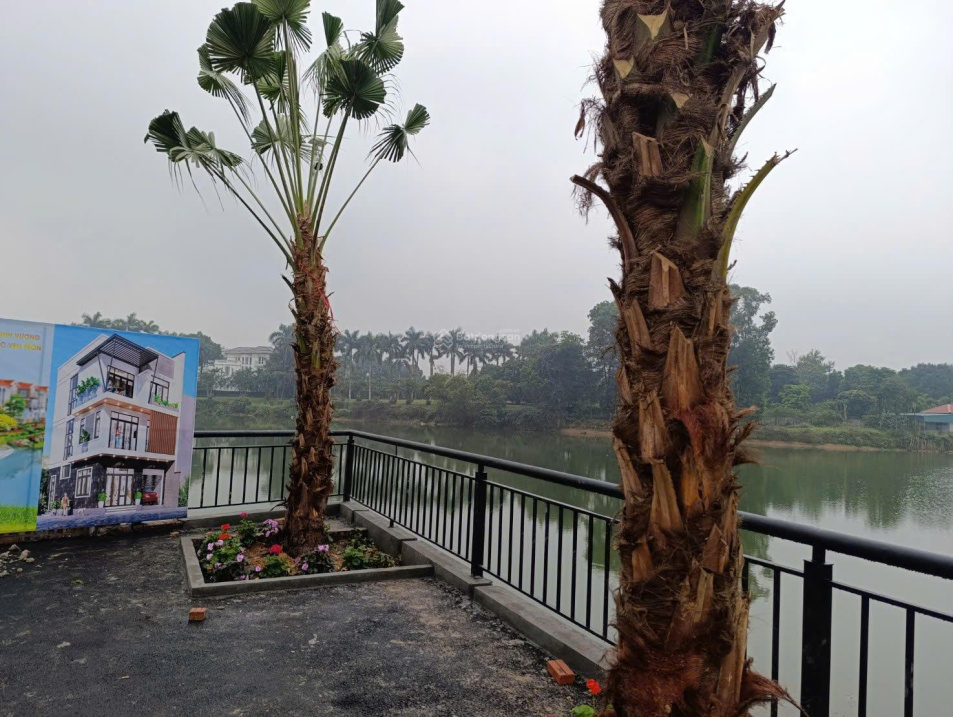  Bán 100m2 đất nền Trại Hồ giá 3, x tỷ 