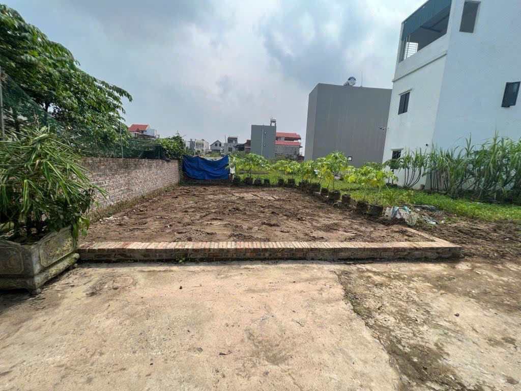  Chỉ 3,15 TỶ - sở hữu lô đất 52M2 thôn Ấp Tre mặt tiền 6M khủng - sát KCN Quang Minh 