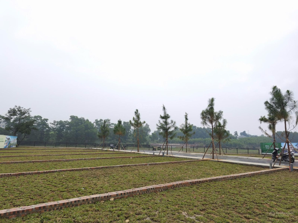  Đất Trại Hồ Cổ Đông giá nhỉnh 2 tỷ, sát CNC Hòa Lạc Hàng hiếm 