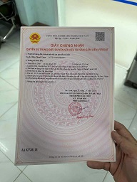  ► MẶT TIỀN KINH DOANH HIẾM – LÊ QUANG ĐỊNH (ĐH406) 